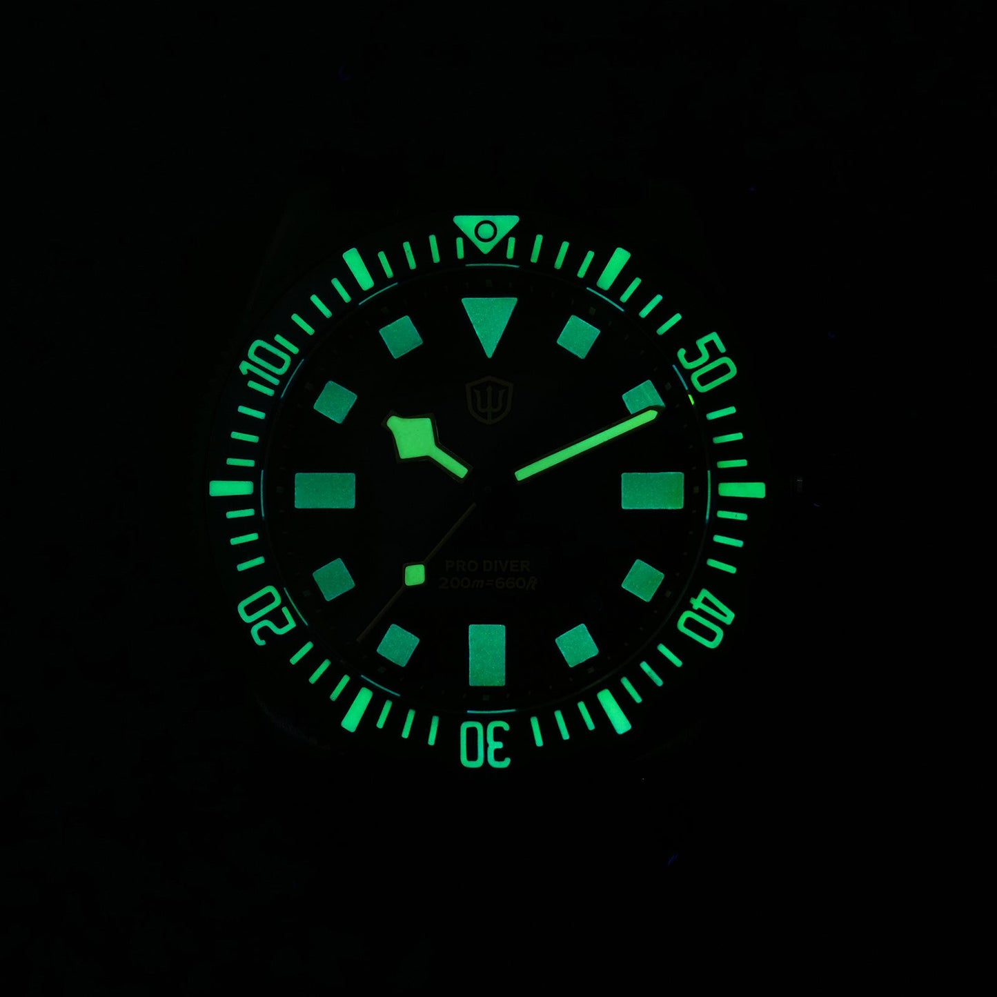 🔥WeeklyDeals🔥Watchdives 38mm EXD Titanium Diver Watch