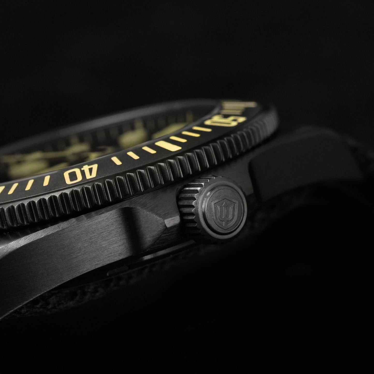 🔥WeeklyDeals🔥Watchdives 38mm EXD Titanium Diver Watch