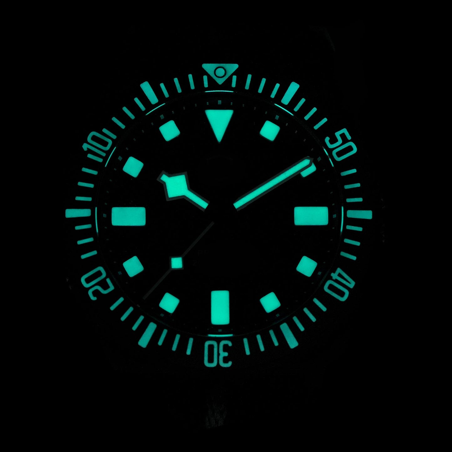 🔥WeeklyDeals🔥Watchdives 40mm EXD Titanium Diver Watch