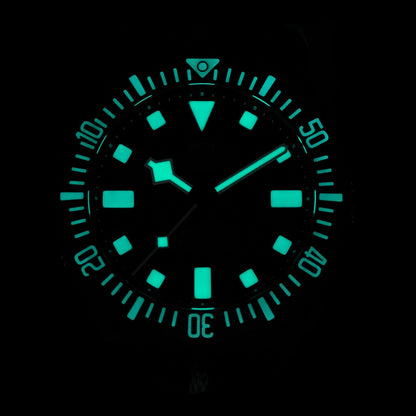 🔥WeeklyDeals🔥Watchdives 40mm EXD Titanium Diver Watch