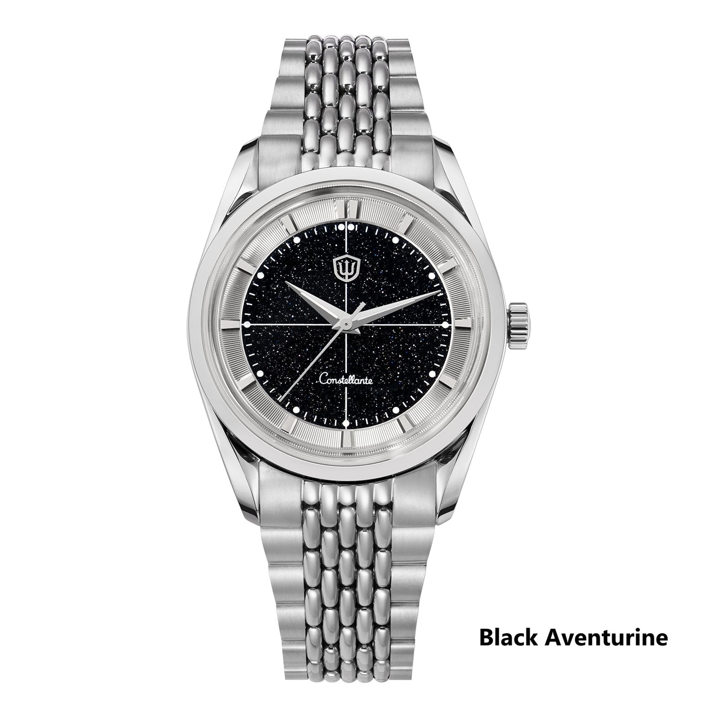 Watchdives WD1954 Arctic Classic 36mm VH31 Watch